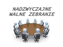 NADZWYCZAJNE WALNE ZEBRANIE 