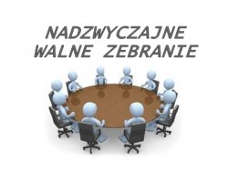 NADZWYCZAJNE WALNE ZGROMADZENIE